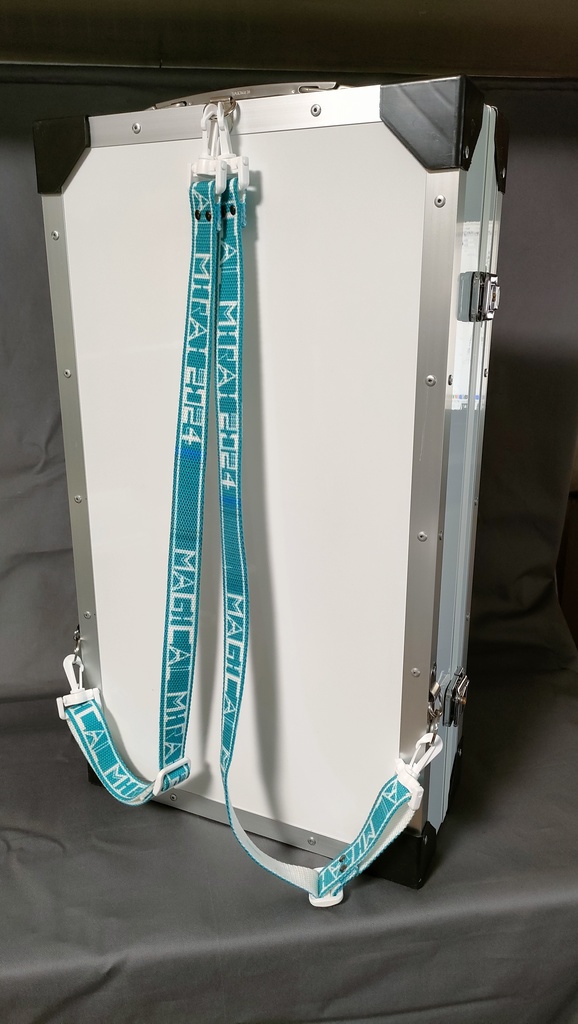 【受注品】DDサイズドールさん2人用ハードケース DDx2W/NW