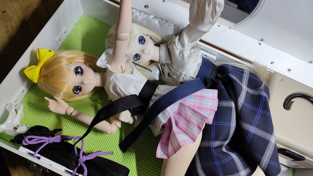 【受注品】DDサイズドールさん2人用ハードケース DDx2W/NW