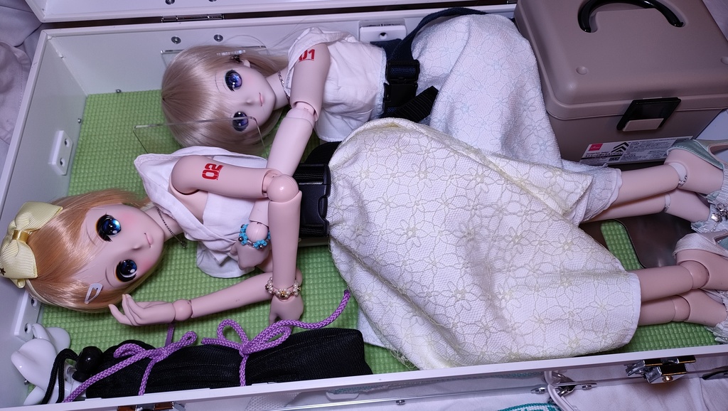 【受注品】DDサイズドールさん2人用ハードケース DDx2W/NW