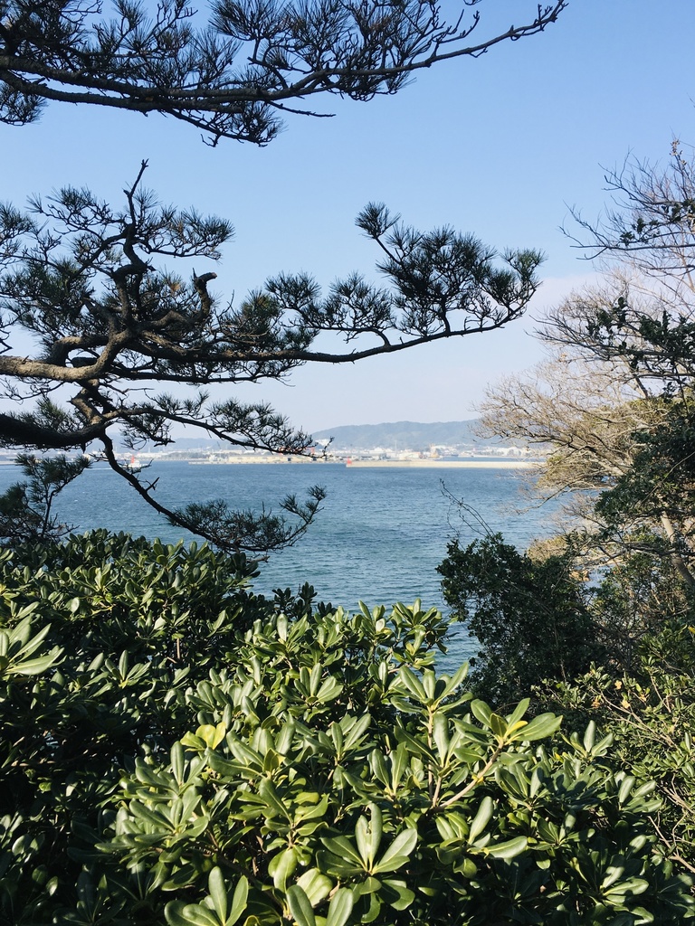 茂みの奥の三河湾