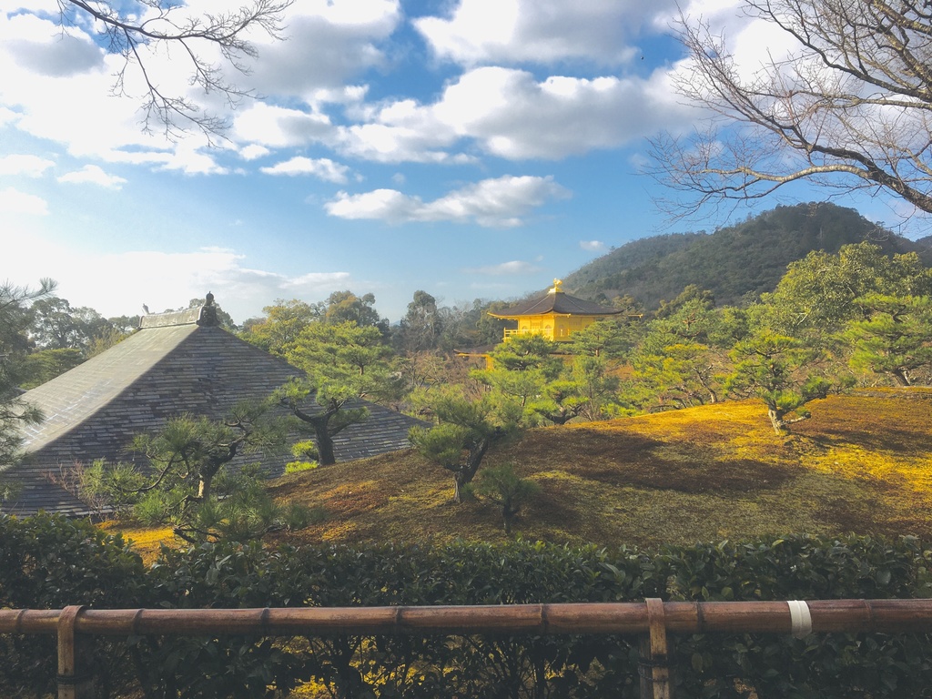 金色の景色
