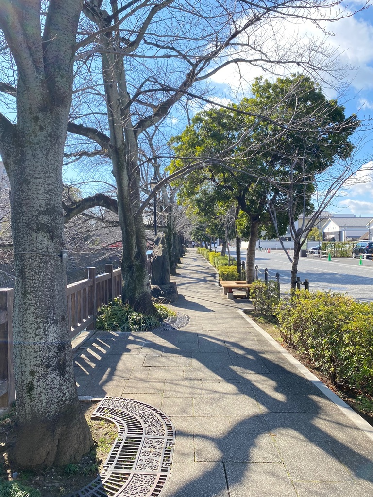 名もない道