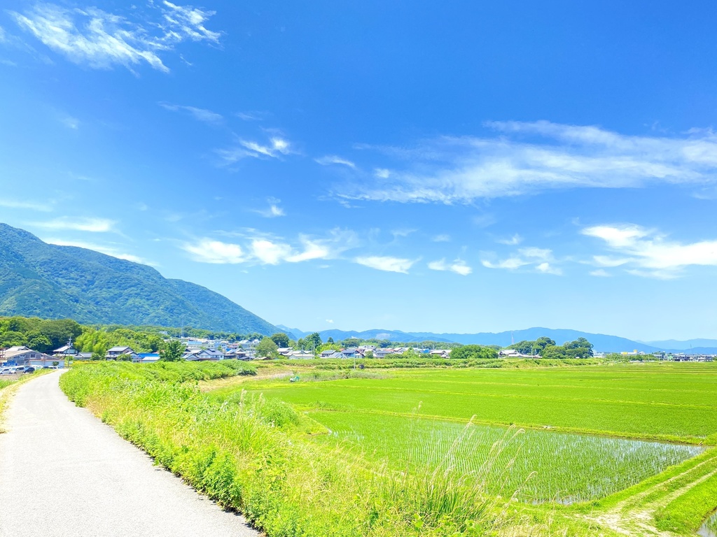 夏の堤防