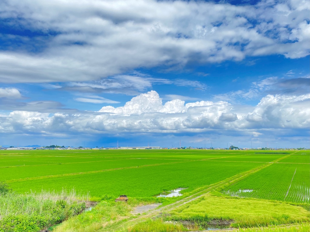 夏のある日の帰り道