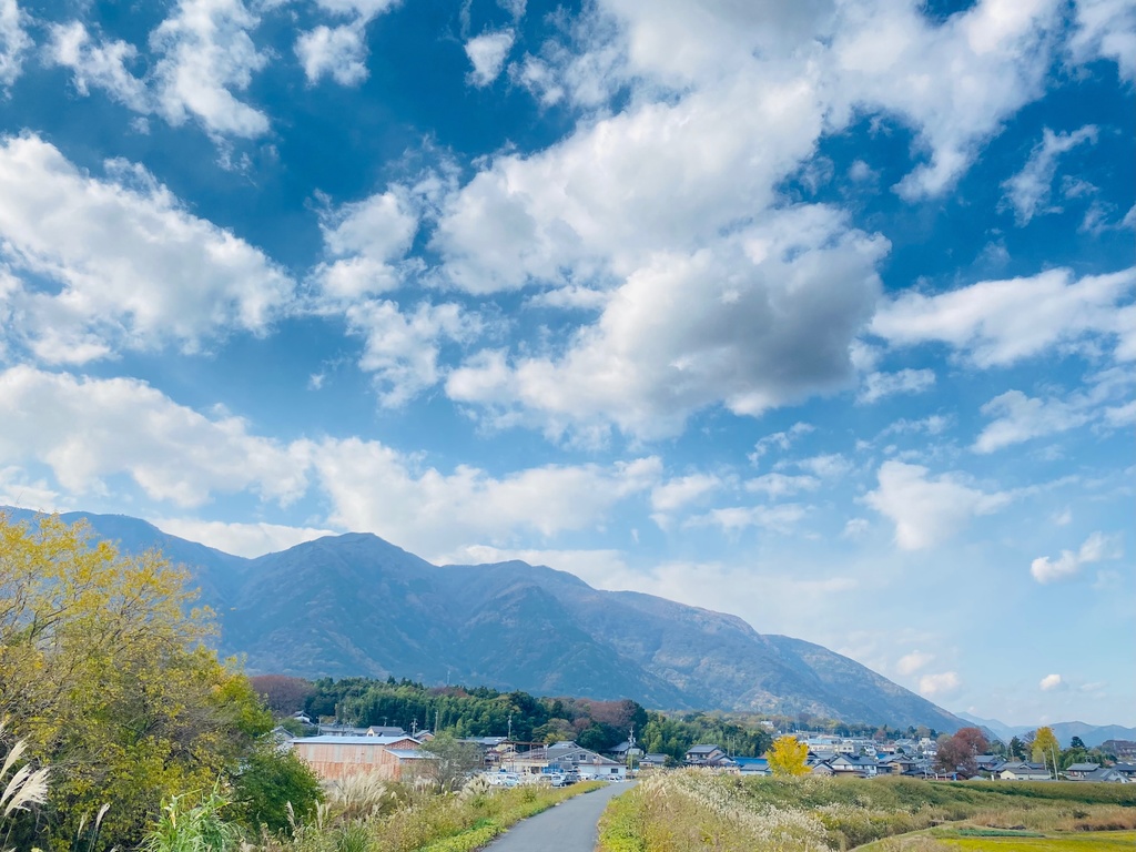 美しい自然の風景