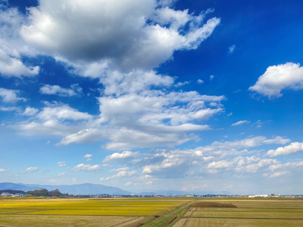 青空と田んぼ