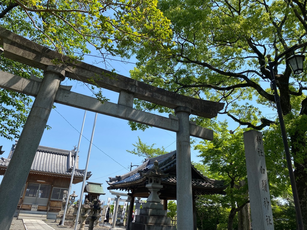 緑に囲まれた聖域2
