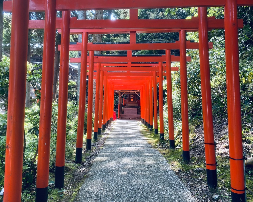 聖域へと続く道