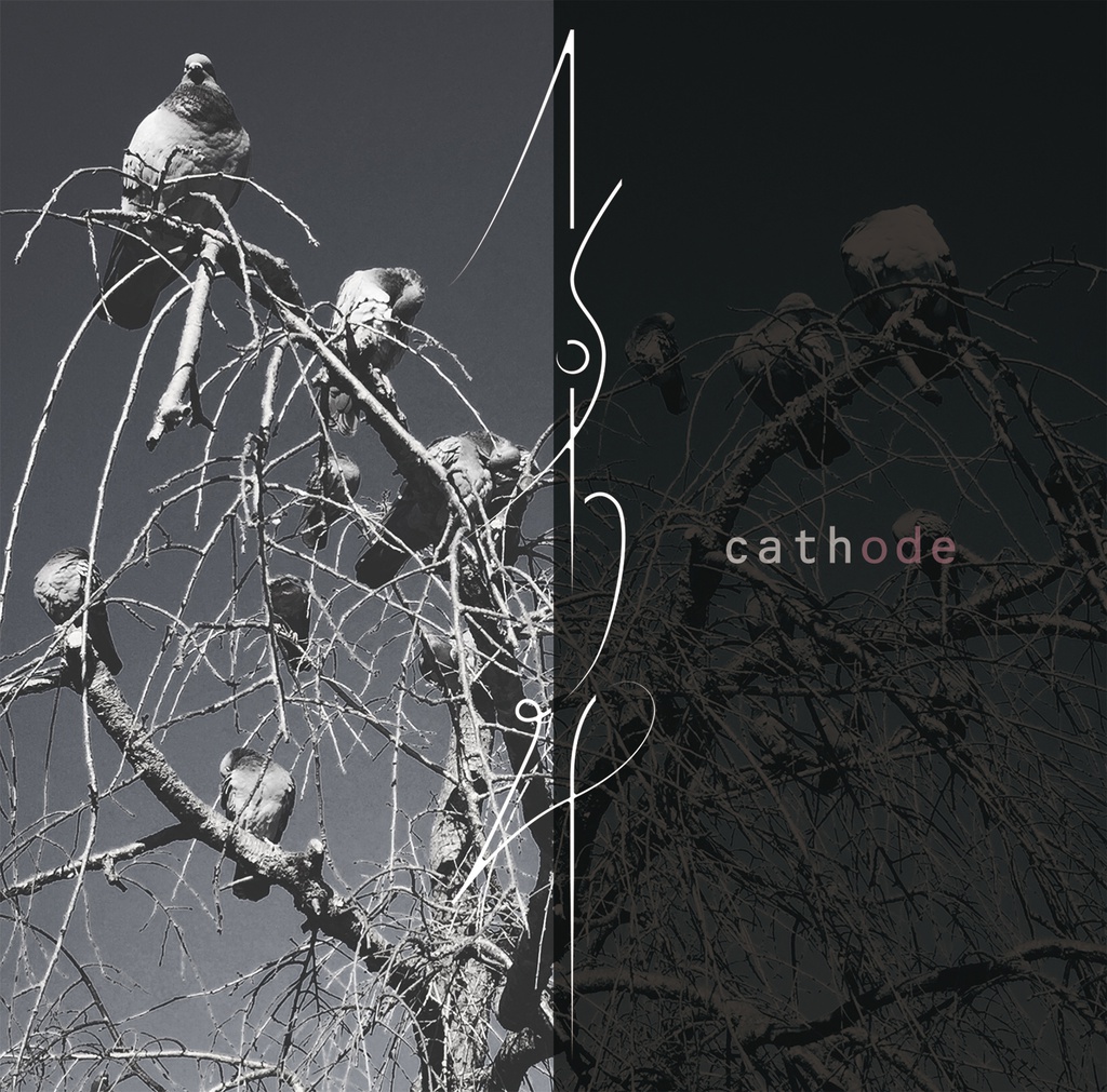 cathode