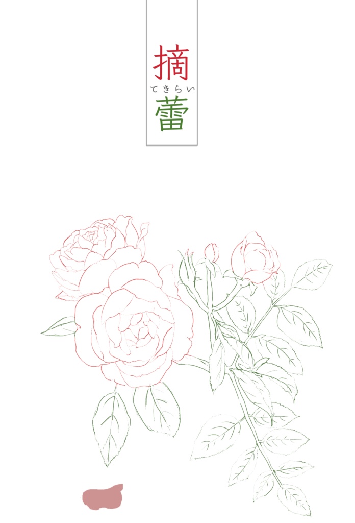摘蕾
