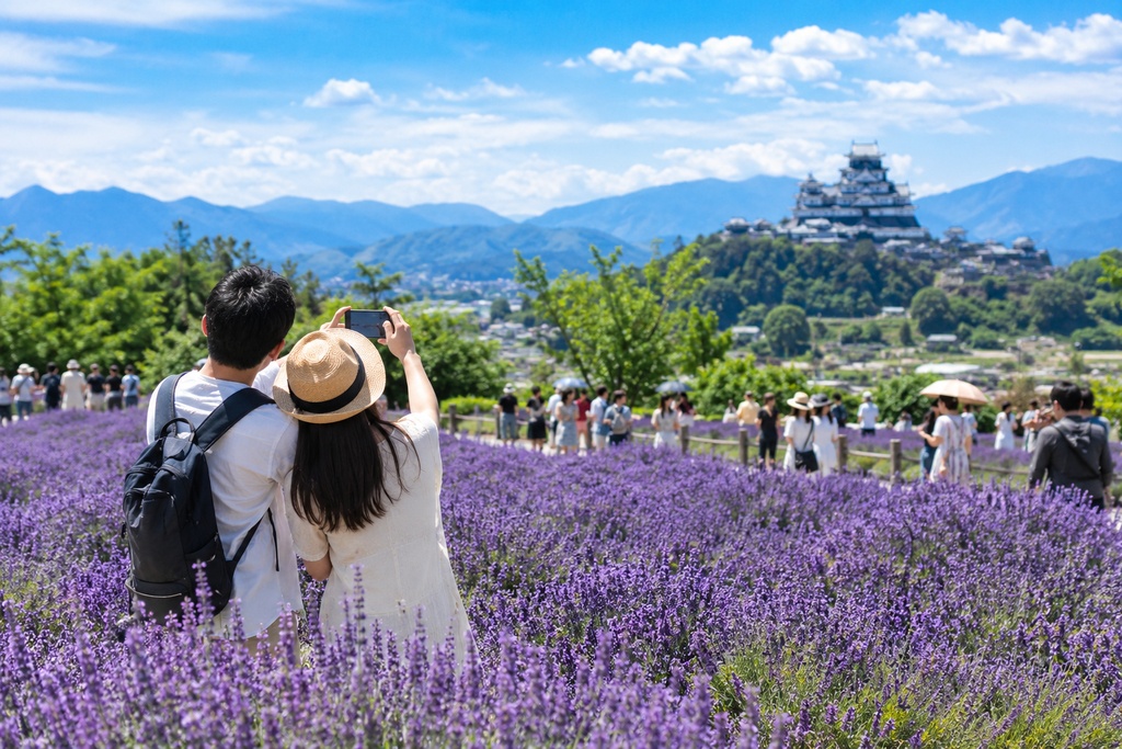 ラベンダー畑の中で写真を撮る若夫婦