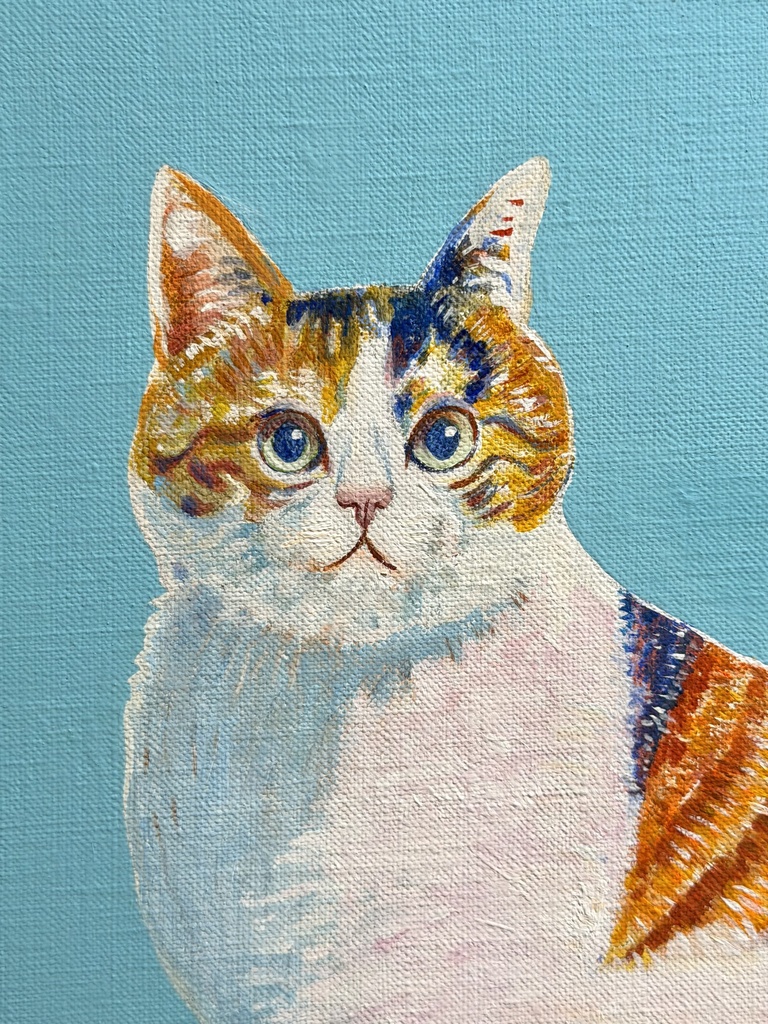 calico
