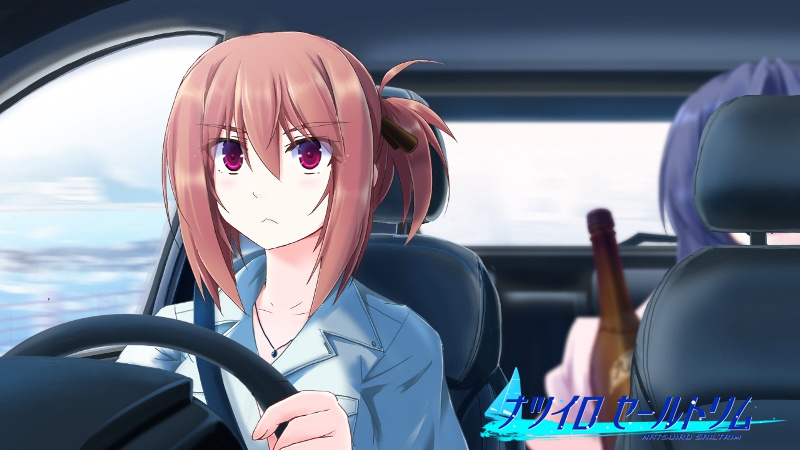 ナツイロセールトリムSail1