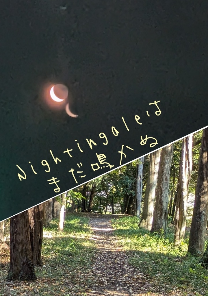Nightingaleはまだ鳴かぬ