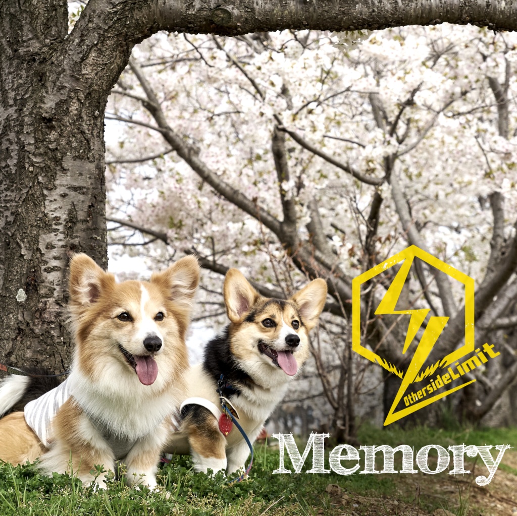 2nd Single「Memory」