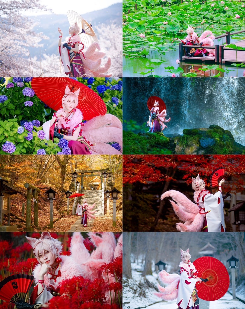 【写真集】狐道