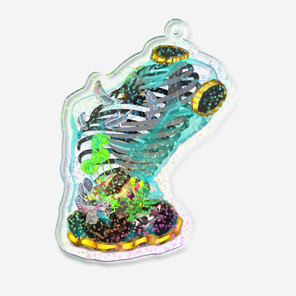 寄瀬星蝦ホロアクキー(胸郭水槽)