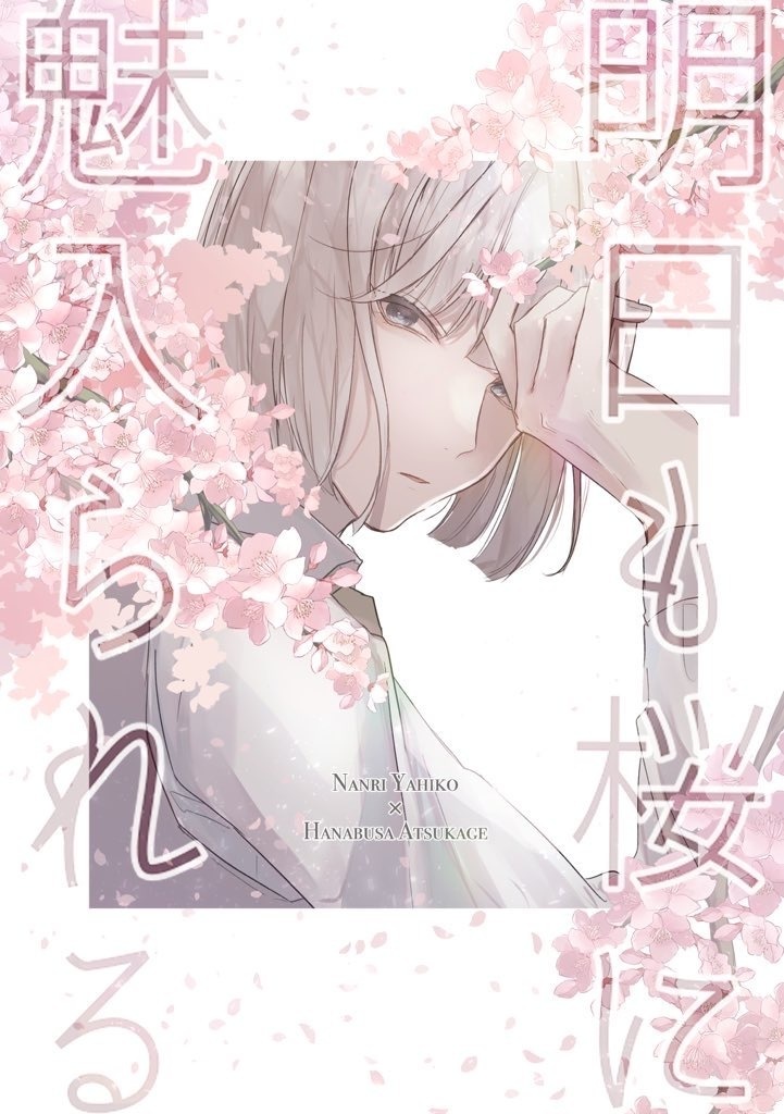 明日も桜に魅入られる