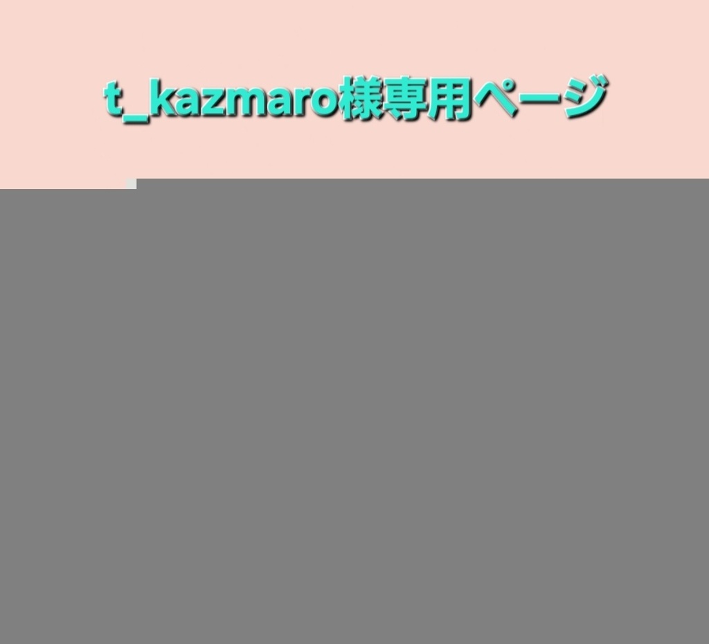 t_kzmaro様専用ページ レミリア、フラン 大色紙オーダー