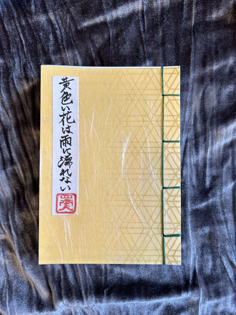 黄色い花は雨に濡れない