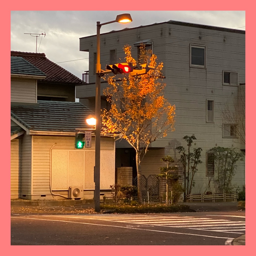 10th single「色相環」
