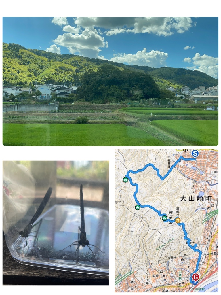 Stroll around Oyamazaki