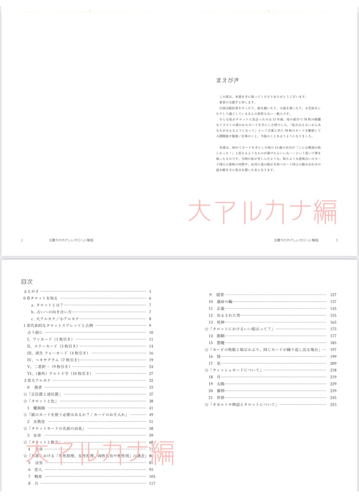 玉置夕のやさしいタロット解説(大アルカナ編+小アルカナ編セット)恋人Ver.