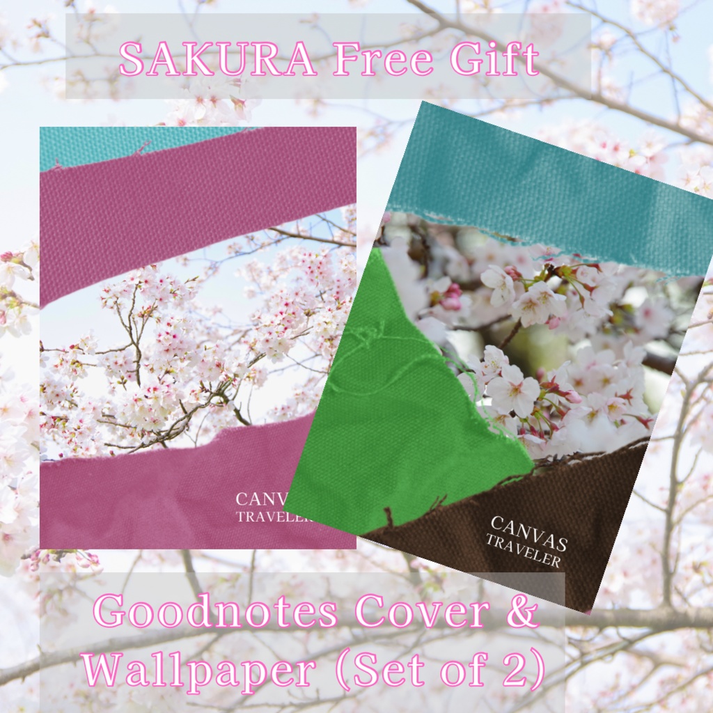 SAKURA - 再生を祝う桜のデジタルカバー 2枚セット