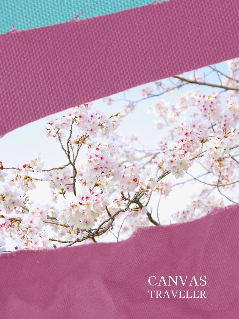 SAKURA - 再生を祝う桜のデジタルカバー 2枚セット