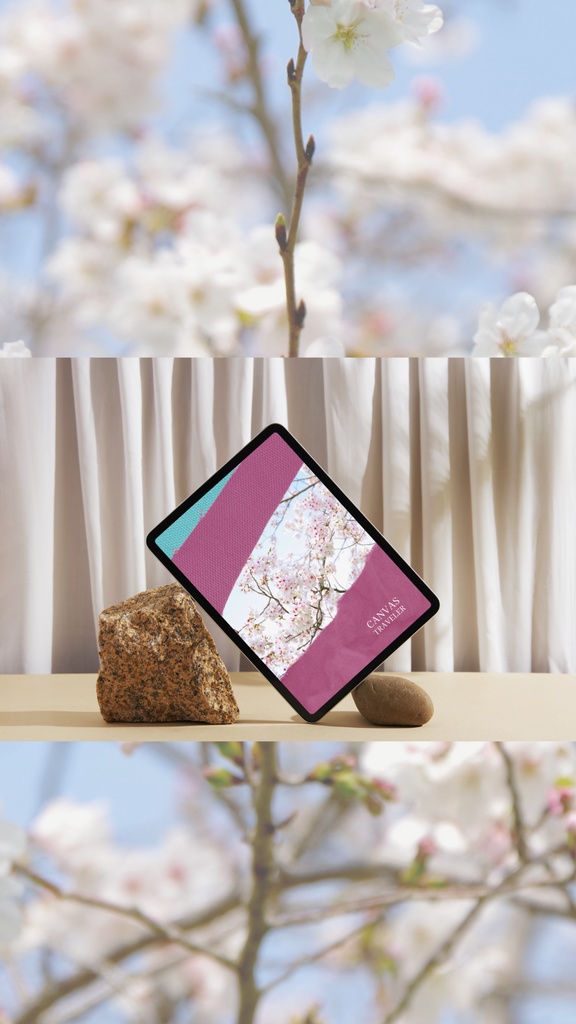 SAKURA - 再生を祝う桜のデジタルカバー 2枚セット