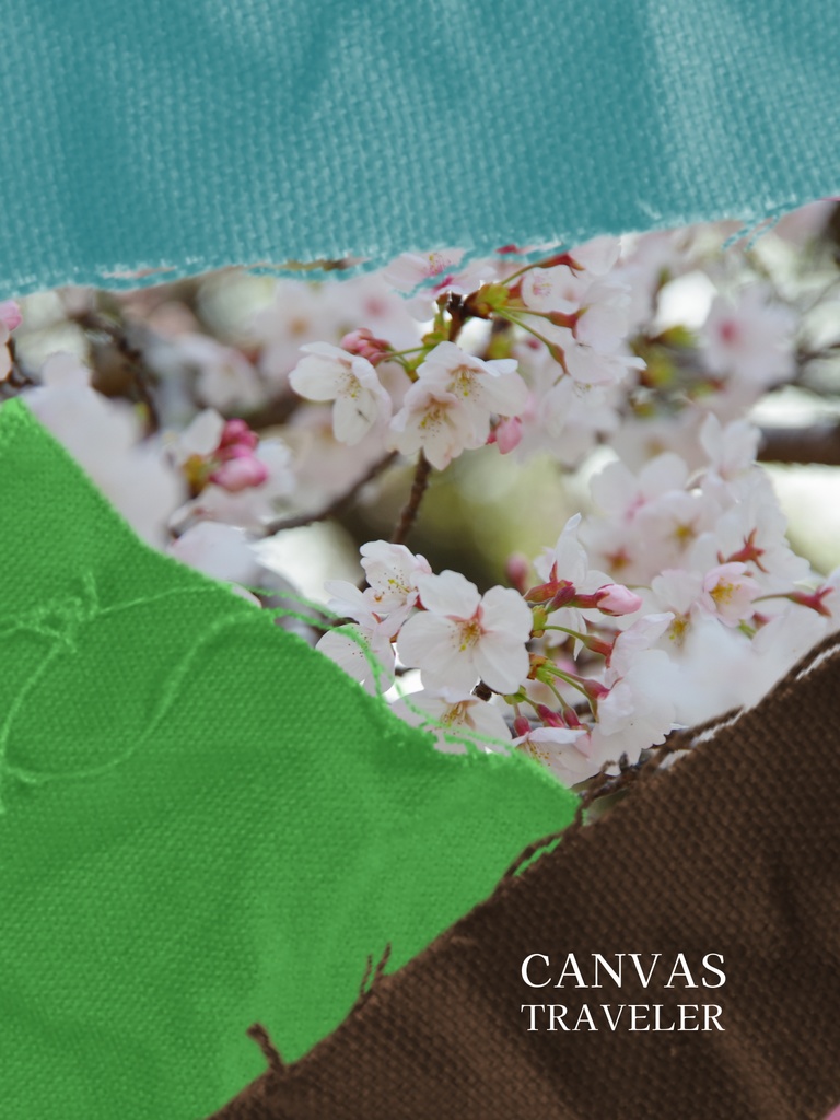 SAKURA - 再生を祝う桜のデジタルカバー 2枚セット