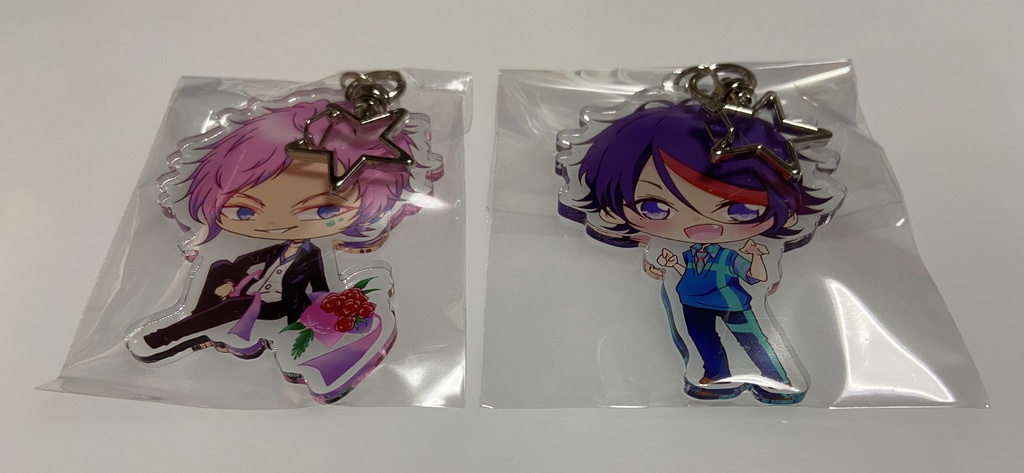 うちの子アクキー