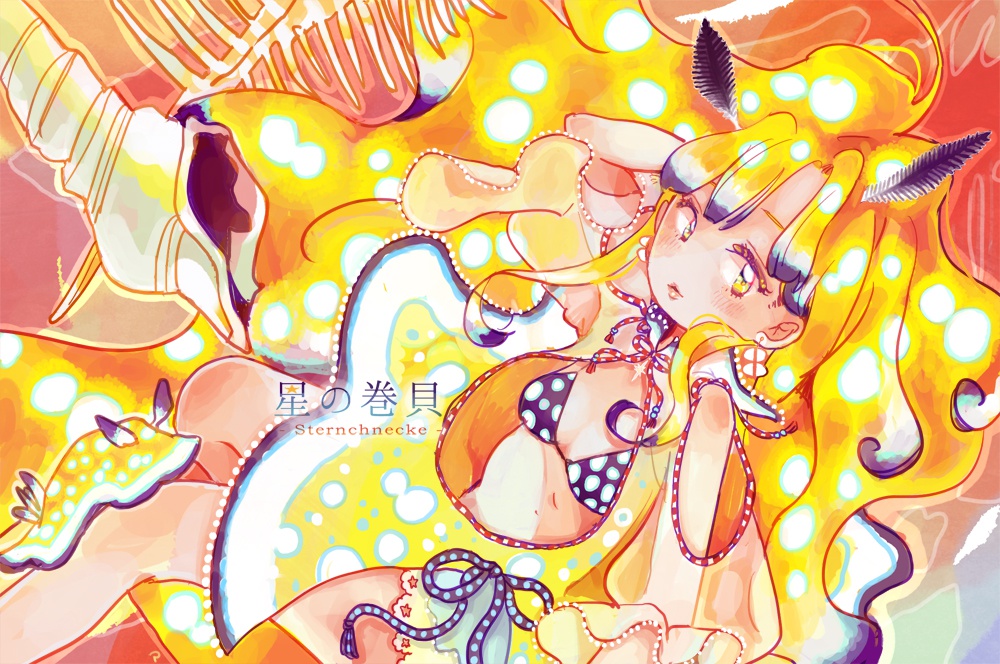 星の巻貝