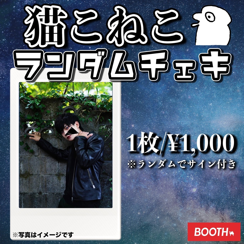 猫こねこ@ランダムチェキ【再販】ver.3