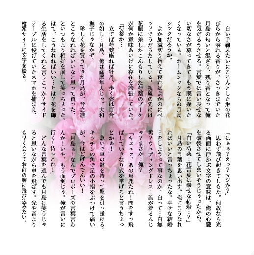 月鯉コンビパック[安心boothパック