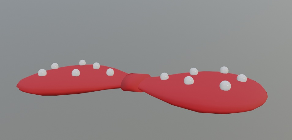 ビーズ付きのリボン