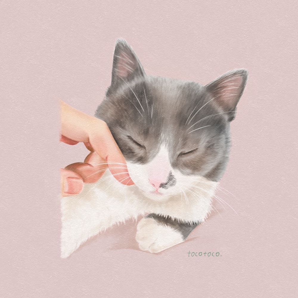 しあわせクッション