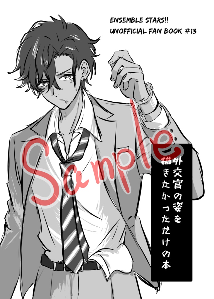 外交官の姿を描きたかっただけの本