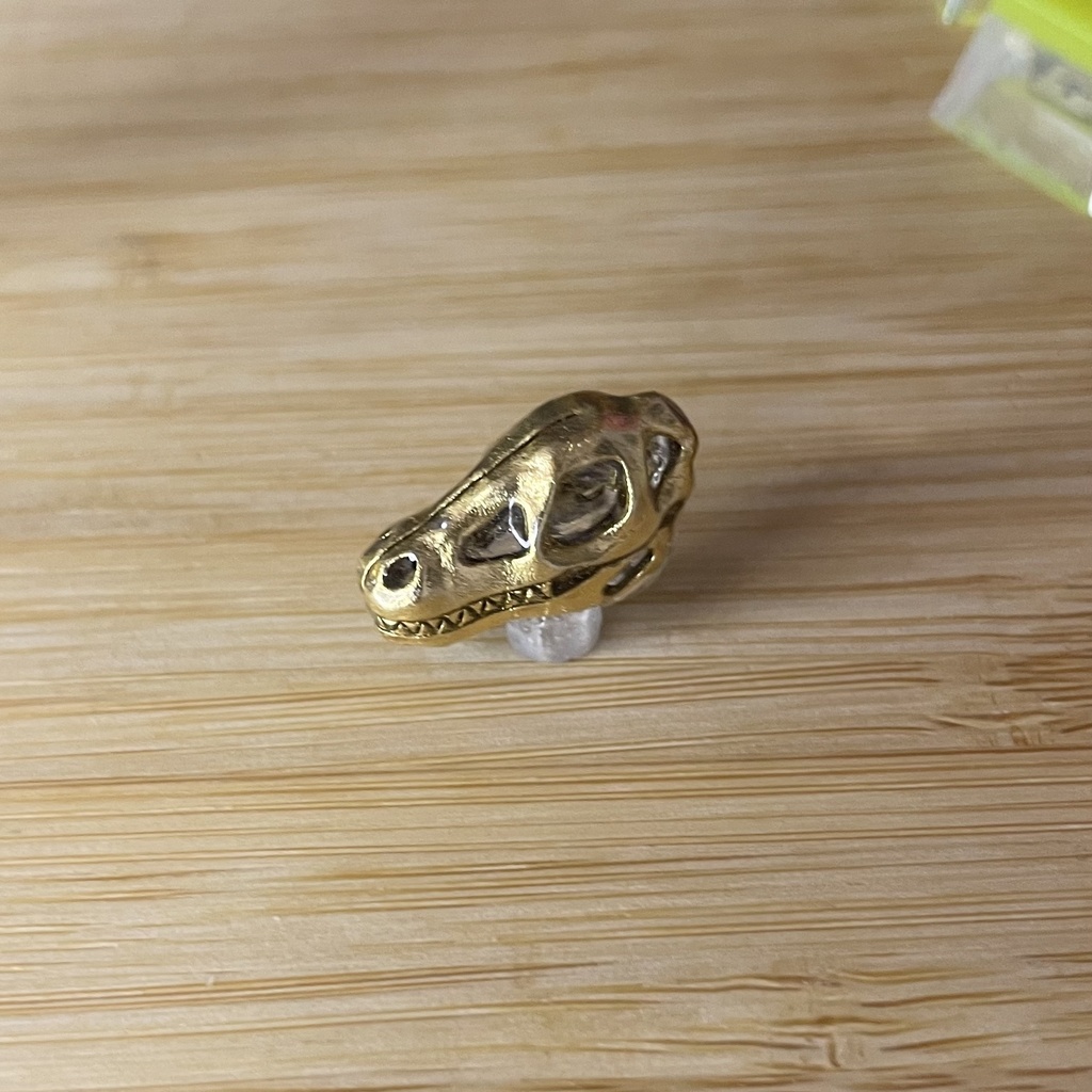 恐竜の頭蓋骨キーキャップ　Dinosaur Skull Keycap