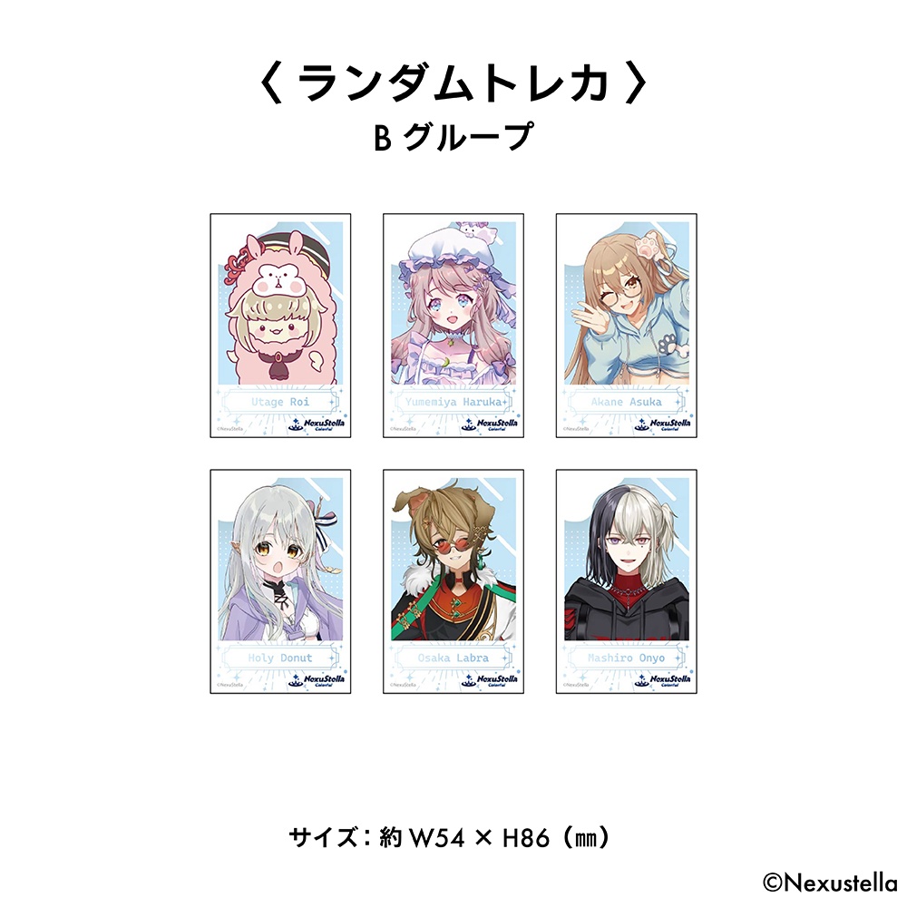 【8/28まで!】NexuStella Colorful SUMMER CLEARANCE SALE