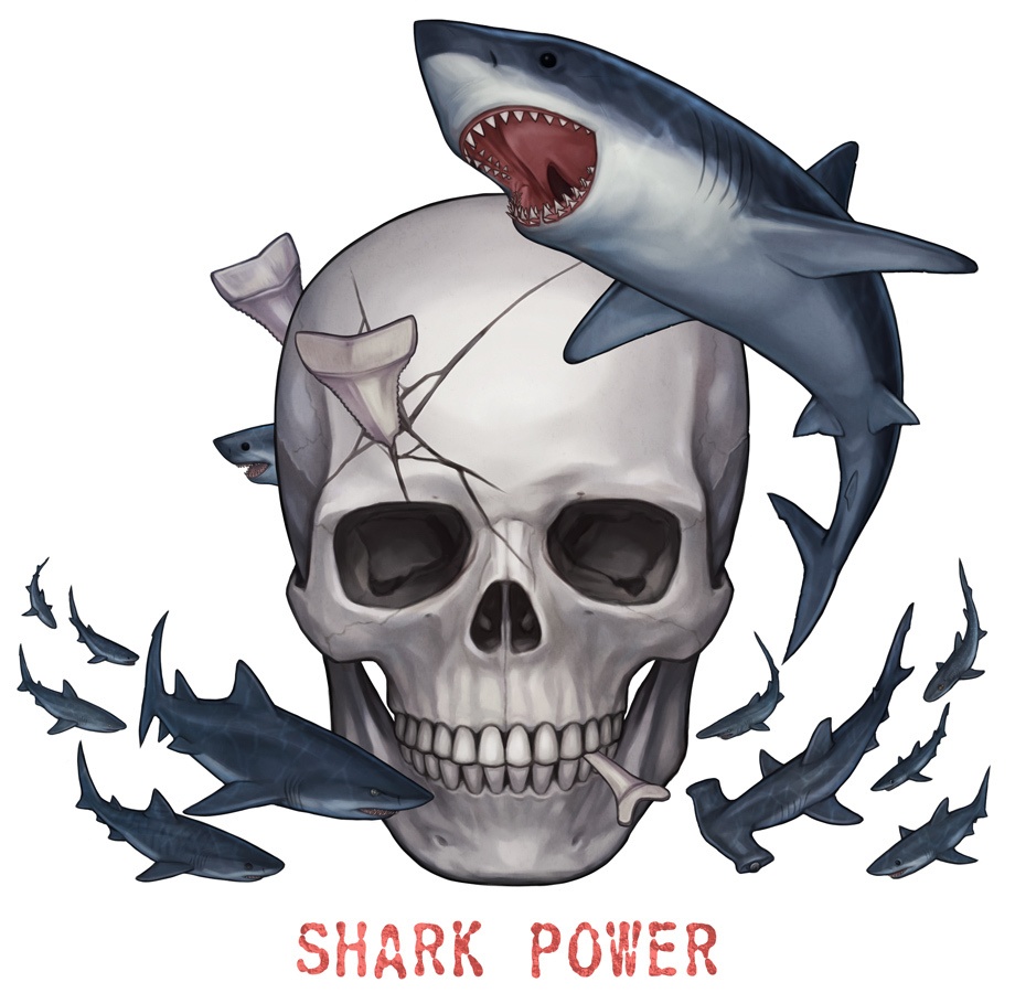 シャークパワー