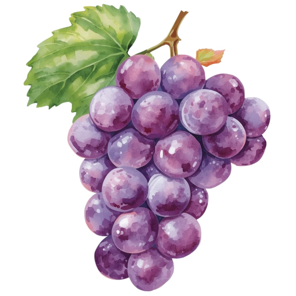 水彩風フルーツの可愛いクリップアートセット(全10種・PNG背景透過)