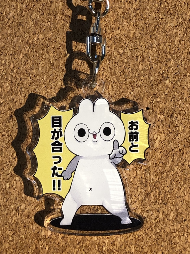 お前と目が合った!!(アクキー)
