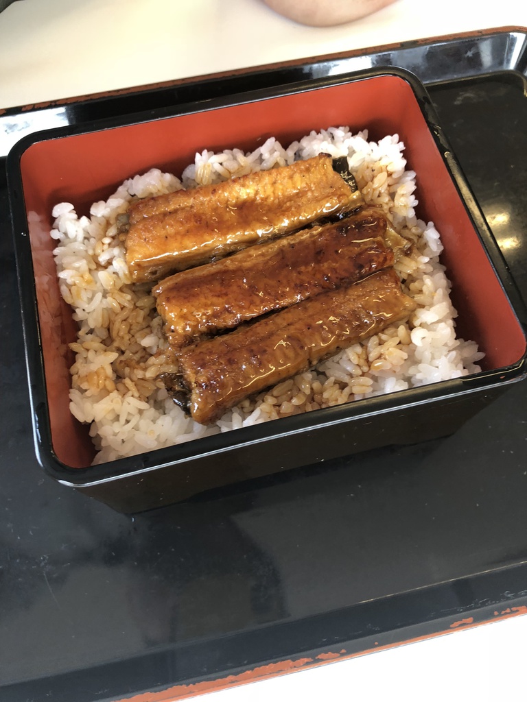 UNAGI