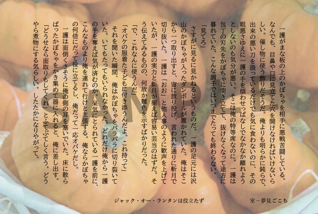 白黒ポストカード小説集(ケースなし)