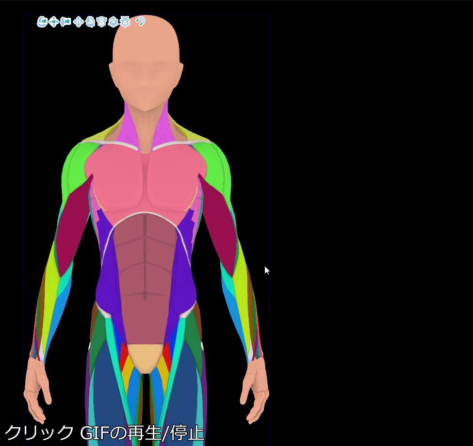 【クリップスタジオ】デッサン人形_男性セット