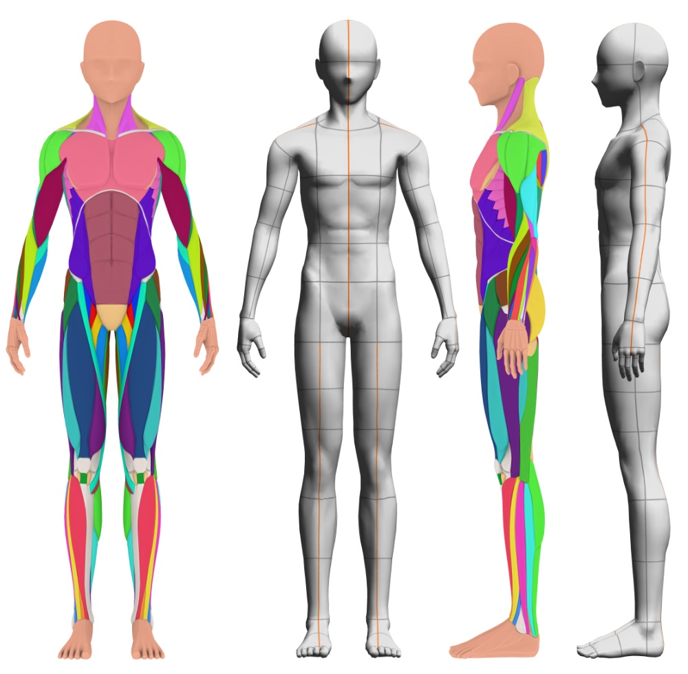 【クリップスタジオ】デッサン人形_男性セット