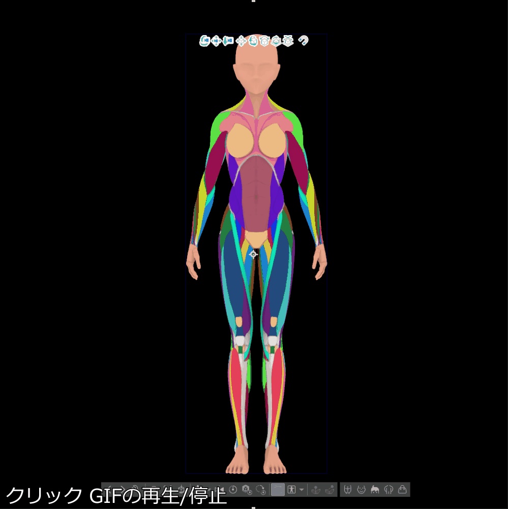 【クリップスタジオ】デッサン人形_女性セット