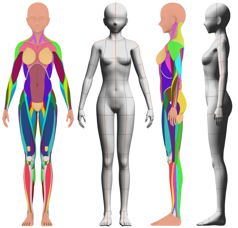 【クリップスタジオ】デッサン人形_女性セット
