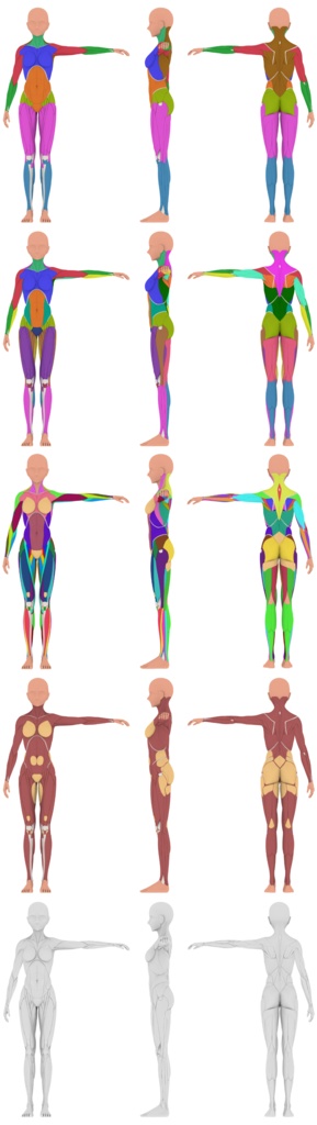 【クリップスタジオ】デッサン人形_女性セット